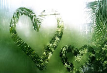 中山哪里有健身器材卖 中山哪里有健身器材卖